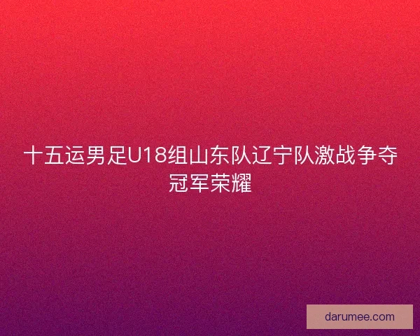 十五运男足U18组山东队辽宁队激战争夺冠军荣耀